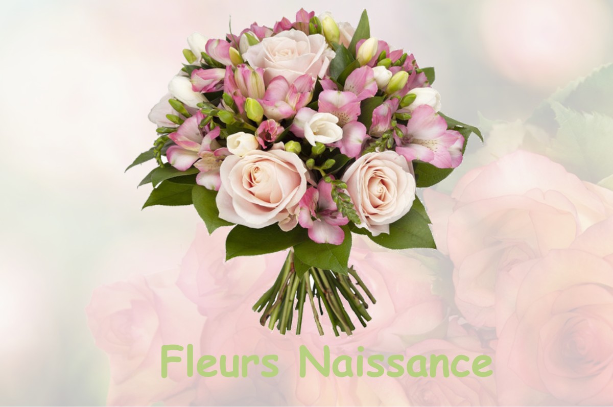 fleurs naissance REMILLY-WIRQUIN