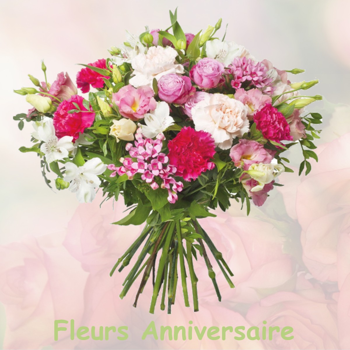 fleurs anniversaire REMILLY-WIRQUIN